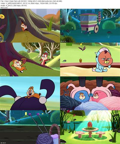 Chip n Dale Park Life S01E01 1080p HEVC x265 