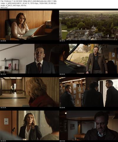 Professor T UK S01E05 1080p HEVC x265 