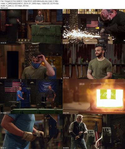 Forged in Fire S08E31 720p HEVC x265 