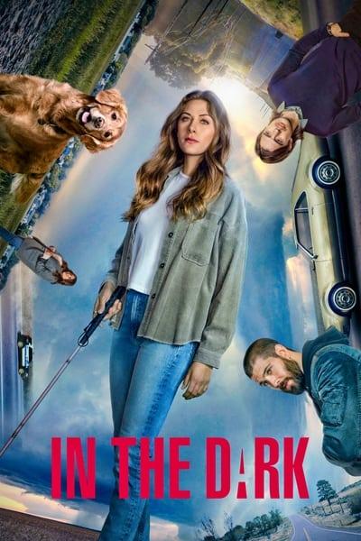 In the Dark 2019 S03E06 1080p HEVC x265 