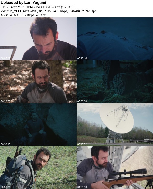 Survive (2021) HDRip XviD AC3-EVO