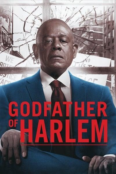 Godfather of Harlem S02E07 720p HEVC x265 