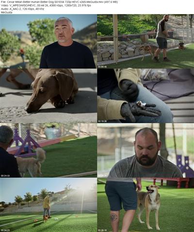 Cesar Millan Better Human Better Dog S01E04 720p HEVC x265 