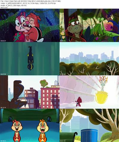 Chip n Dale Park Life S01E03 720p HEVC x265 