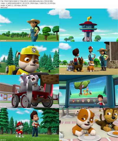 PAW Patrol S06E12 720p HEVC x265 