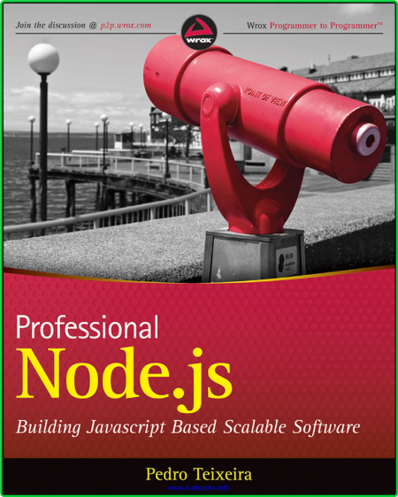 Professional Node js