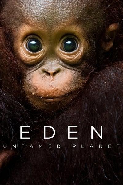 Eden Untamed Planet S01E03 720p HEVC x265 