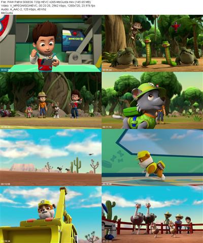 PAW Patrol S06E06 720p HEVC x265 