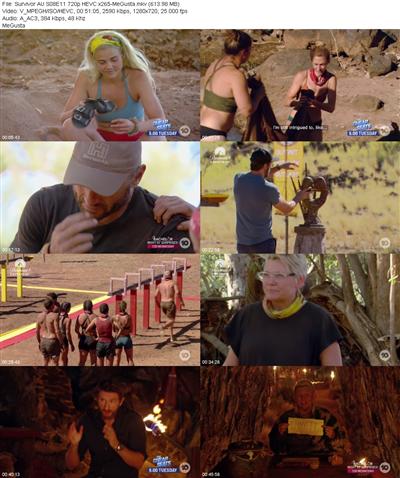 Survivor AU S08E11 720p HEVC x265 