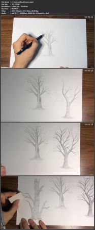 Complete  Trees Drawing Course 0953562828864f8deb9b600f5a2b9300