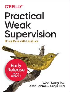 Practical Weak Supervision (Early Release) Fifth Release