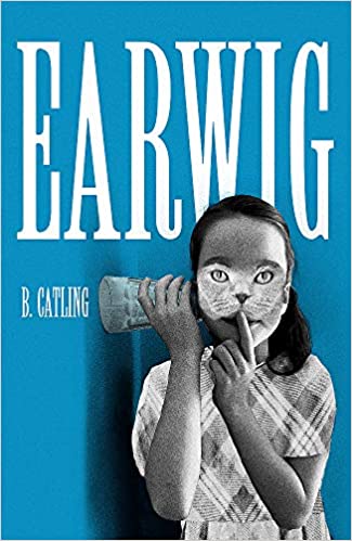 Earwig