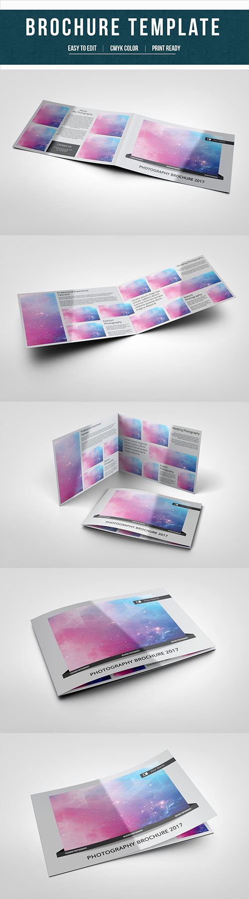 AdobeStock Photography Brochure Layout 3 179868096