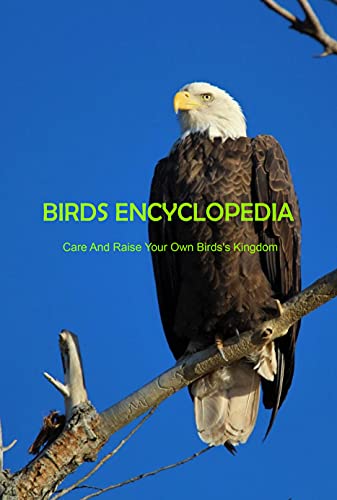 Birds Encyclopedia: Care And Raise Your Own Birds's Kingdom: Toturials Of Taking Care Of Birds
