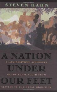 A Nation Under Our Feet Black Political Struggles in the Rural South from Slavery to TheGreat Migration