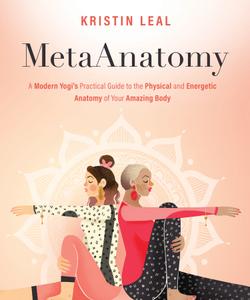 MetaAnatomy A Modern Yogi's Practical Guide to the Physical and Energetic Anatomy of Your Amazing Body