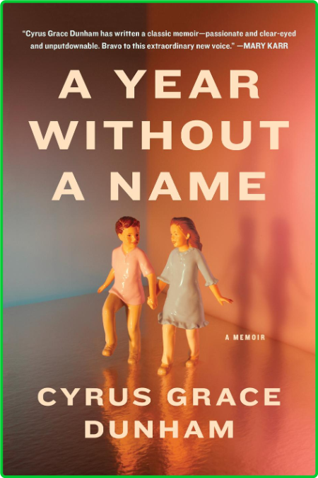 A Year Without a Name - A Memoir
