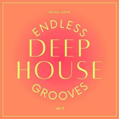 Various Artists   Endless Deep House Grooves Vol. 3 (2021)