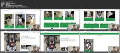 Build An Animal Shelter Website with Django for Beginners