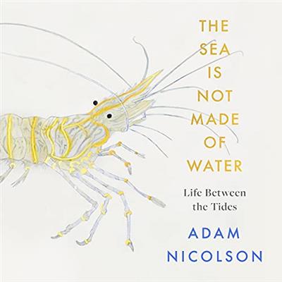 The Sea is Not Made of Water Life Between the Tides [Audiobook]