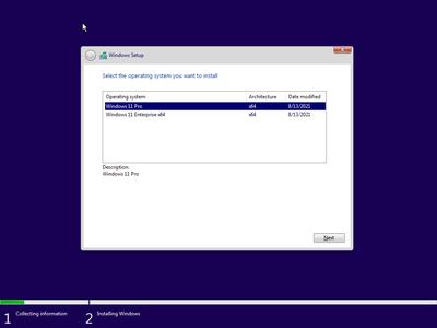 Windows 11 Pro/Enterprise Build 22000.132 (x64) (No TPM Required) Preactivated August 2021