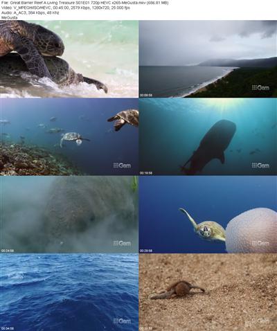 Great Barrier Reef A Living Treasure S01E01 720p HEVC x265 
