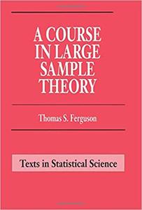 A Course in Large Sample Theory