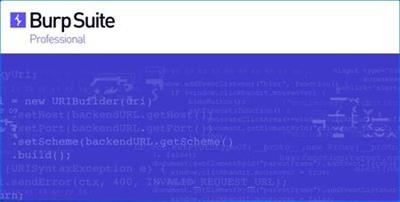 Burp Suite Professional 2021.8.1 Build 9276 8433c5d6beaecf9cf287111a1e67c742