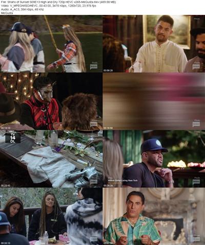 Shahs of Sunset S09E13 High and Dry 720p HEVC x265 