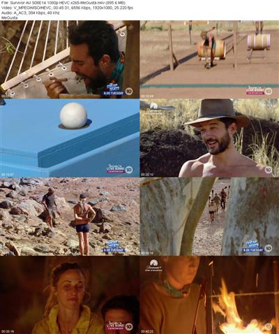 Survivor AU S08E14 1080p HEVC x265 