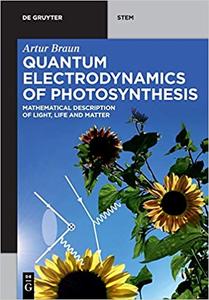 Quantum Electrodynamics of Photosynthesis Mathematical Description of Light, Life and Matter