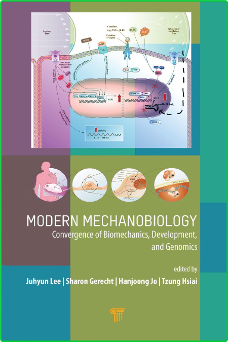Modern Mechanobiology Convergence of Biomechanics, Development, and Genomics