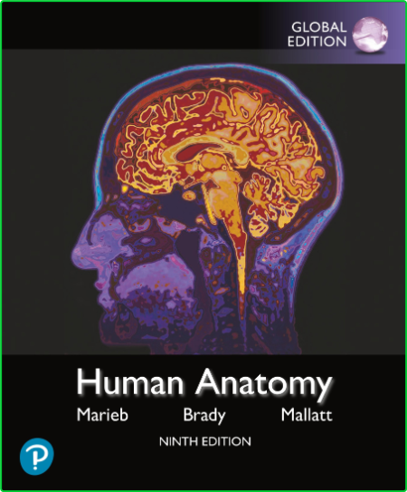 Human Anatomy Global Edition 9th Edition - Elaine Marieb