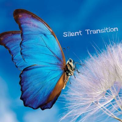 Various Artists   Silent Transition (2021)