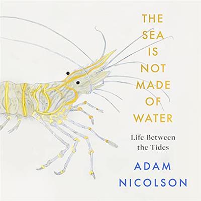 The Sea is Not Made of Water: Life Between the Tides [Audiobook]