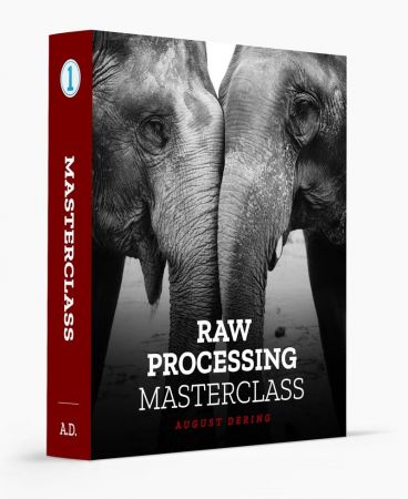 RAW  Processing Masterclass