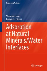 Adsorption at Natural MineralsWater Interfaces