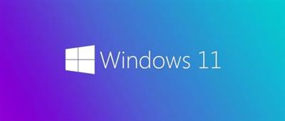 Windows 11  Pro Insider Preview 10.0.22000.160 (x64) Multilanguage