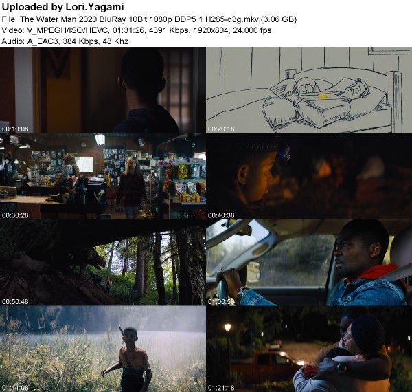 The Water Man (2020) BluRay 10Bit 1080p DDP5 1 H265-d3g