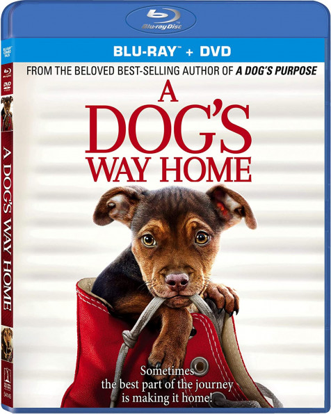 A Dog's Way Home (2019) 720p HD BluRay x264 [MoviesFD]