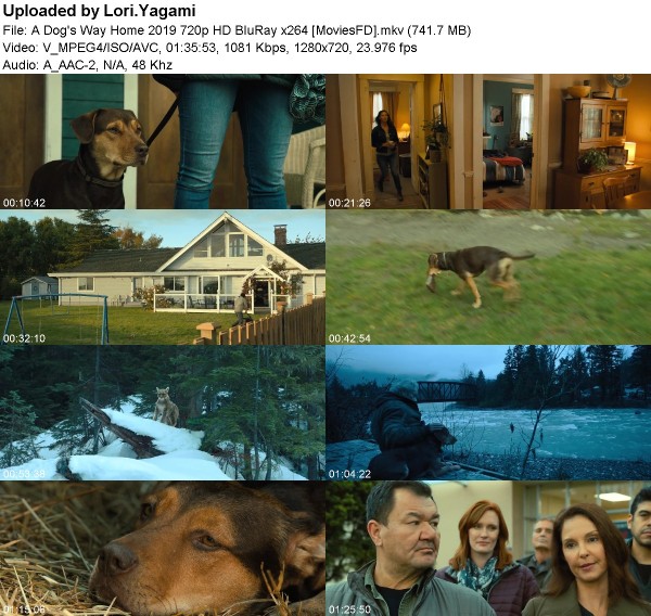 A Dog's Way Home (2019) 720p HD BluRay x264 [MoviesFD]