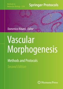 Vascular Morphogenesis Methods and Protocols