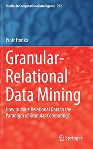 Granular-Relational Data Mining How to Mine Relational Data in the Paradigm of Granular Computing 