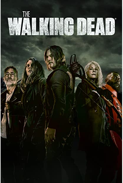 The Walking Dead S11E02 XviD-AFG