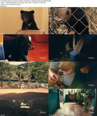 Bears About The House S01E02 720p HEVC x265 