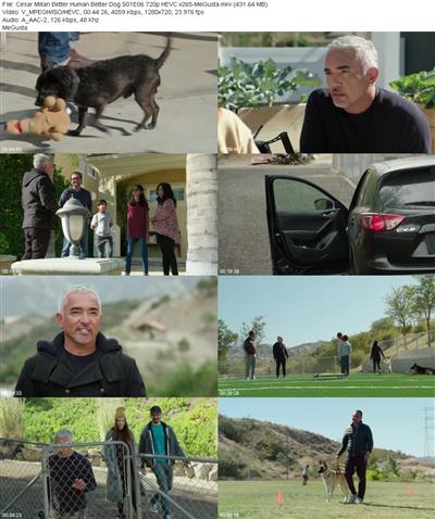 Cesar Millan Better Human Better Dog S01E06 720p HEVC x265 