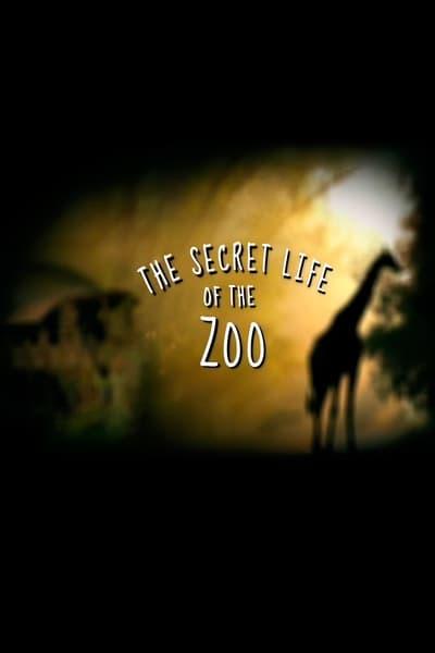 The Secret Life of the Zoo S10E02 1080p HEVC x265 