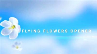 Flying Flowers Opener 969882   Project for After Effects