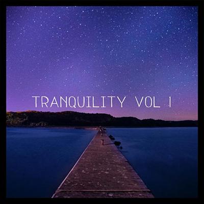 VA   Tranquility Vol. 1 (2021) MP3