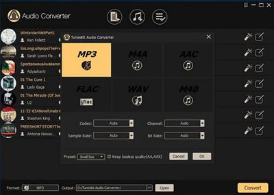 TunesKit  Audio Converter 3.5.0.54 Multilingual